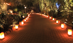 Landscape Lighting