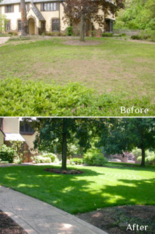 Lawn Image